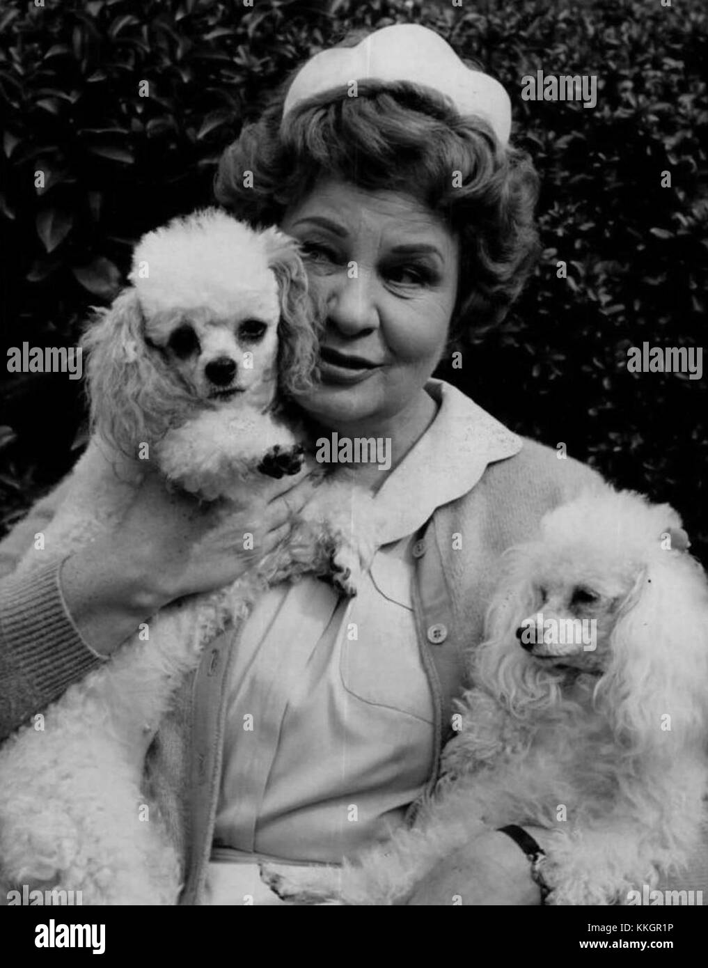 Shirley booth hires stock photography and images Alamy