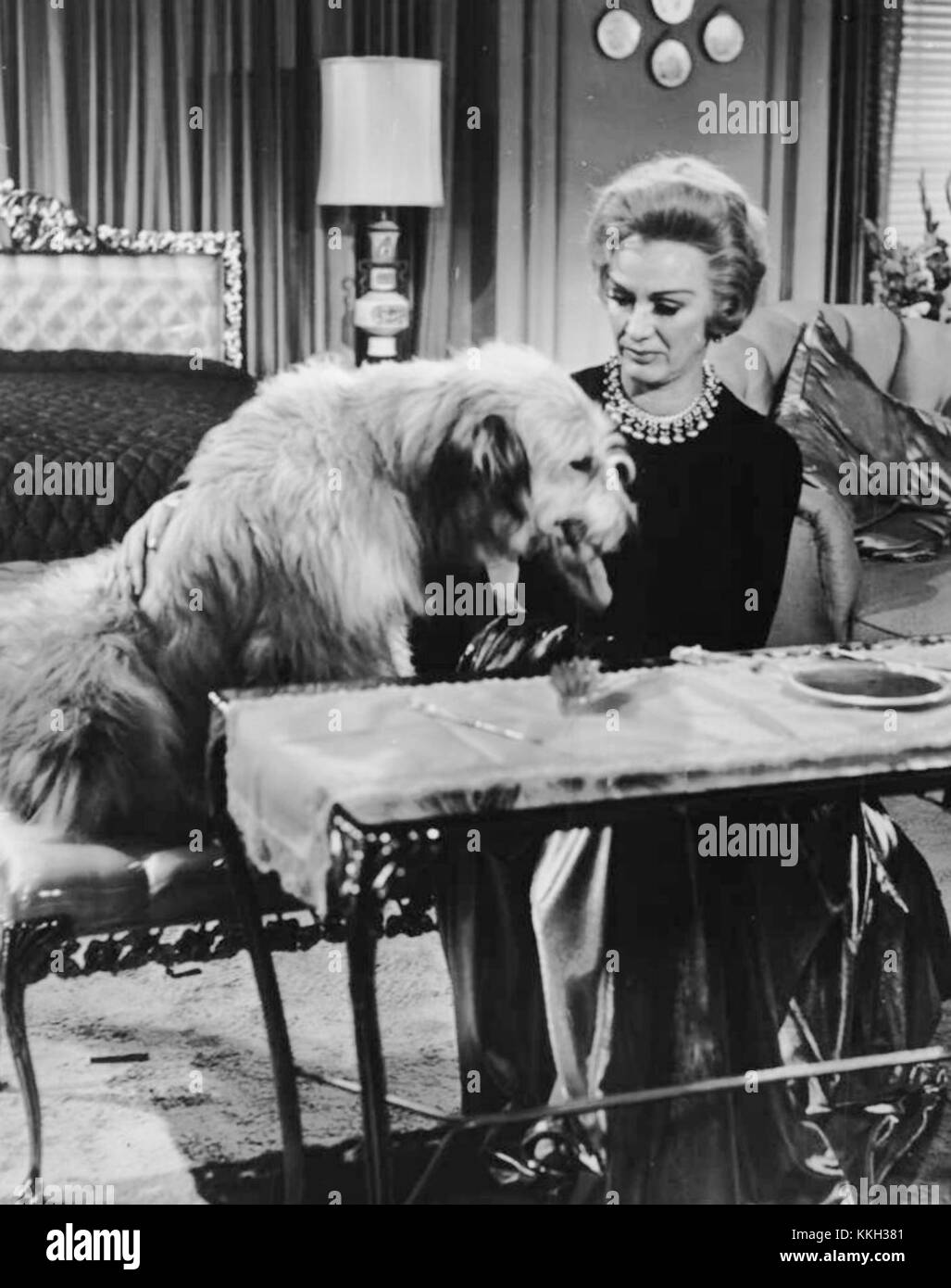 Eve arden hires stock photography and images Alamy