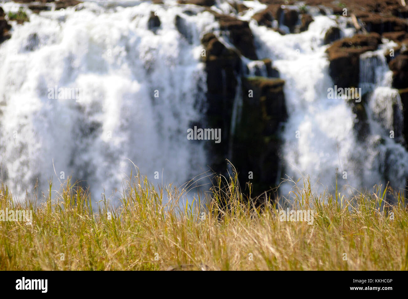 Due to the high humidity, thick grass grows up to the edge of the Victoria Falls, with the Zambian side of the waterfall in the background, pictured on 30.07.2015. The Victoria Falls are the broad waterfalls of the Zambezi at the border between Zimbabwe and Zambia. The falls were discovered by Scottish missionary David Livingstone, who named them in honour of Britain's Queen Victoria. The Victoria Falls have been a UNESCO world heritage site since 1989. The water falls up to 110 metres across a breadth of more than 1,700 metres. Photo: Matthias Tödt | usage worldwide Stock Photo