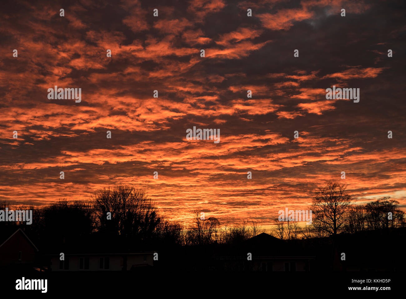 An amazing sky over the Ribble Valley tonight as the sun sets over the Lancashire countryside. Credit: STEPHEN FLEMING/Alamy Live News Stock Photo