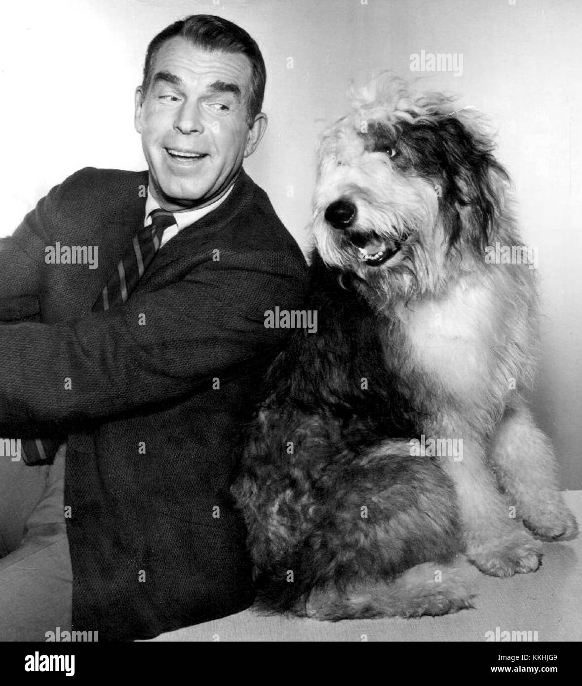 Fred MacMurray and Tramp My Three Sons Stock Photo Alamy