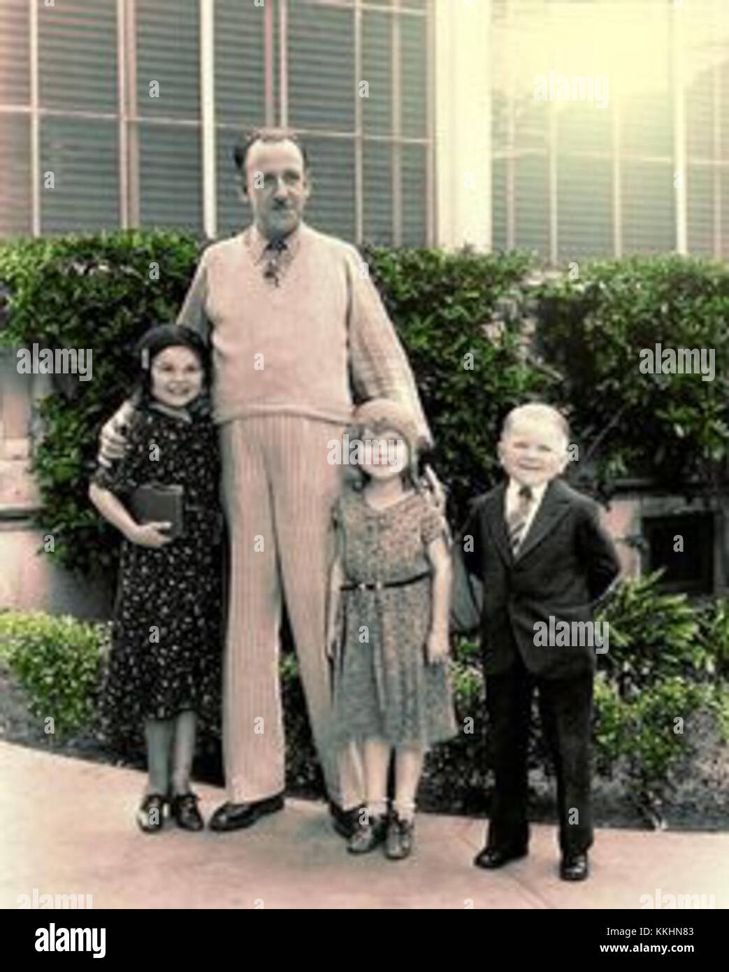 the doll family