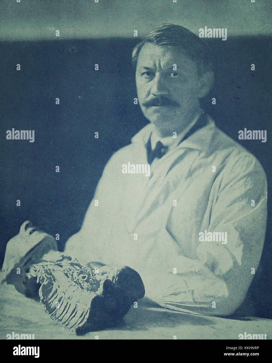 Rainer cu vertebre, 1926 Stock Photo