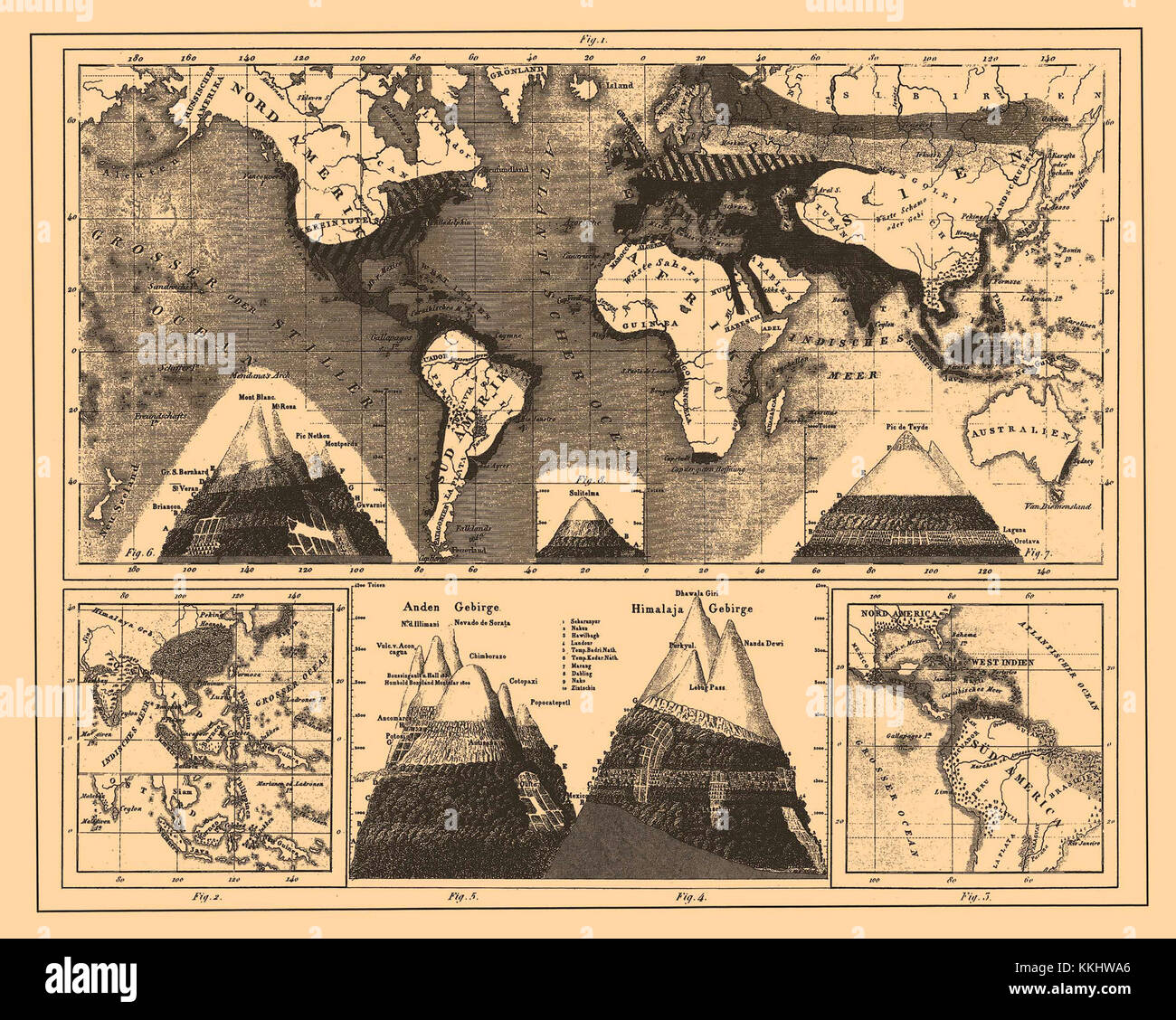 The 'Iconographic Encyclopedia of Science, Literature, and Art' is a ...