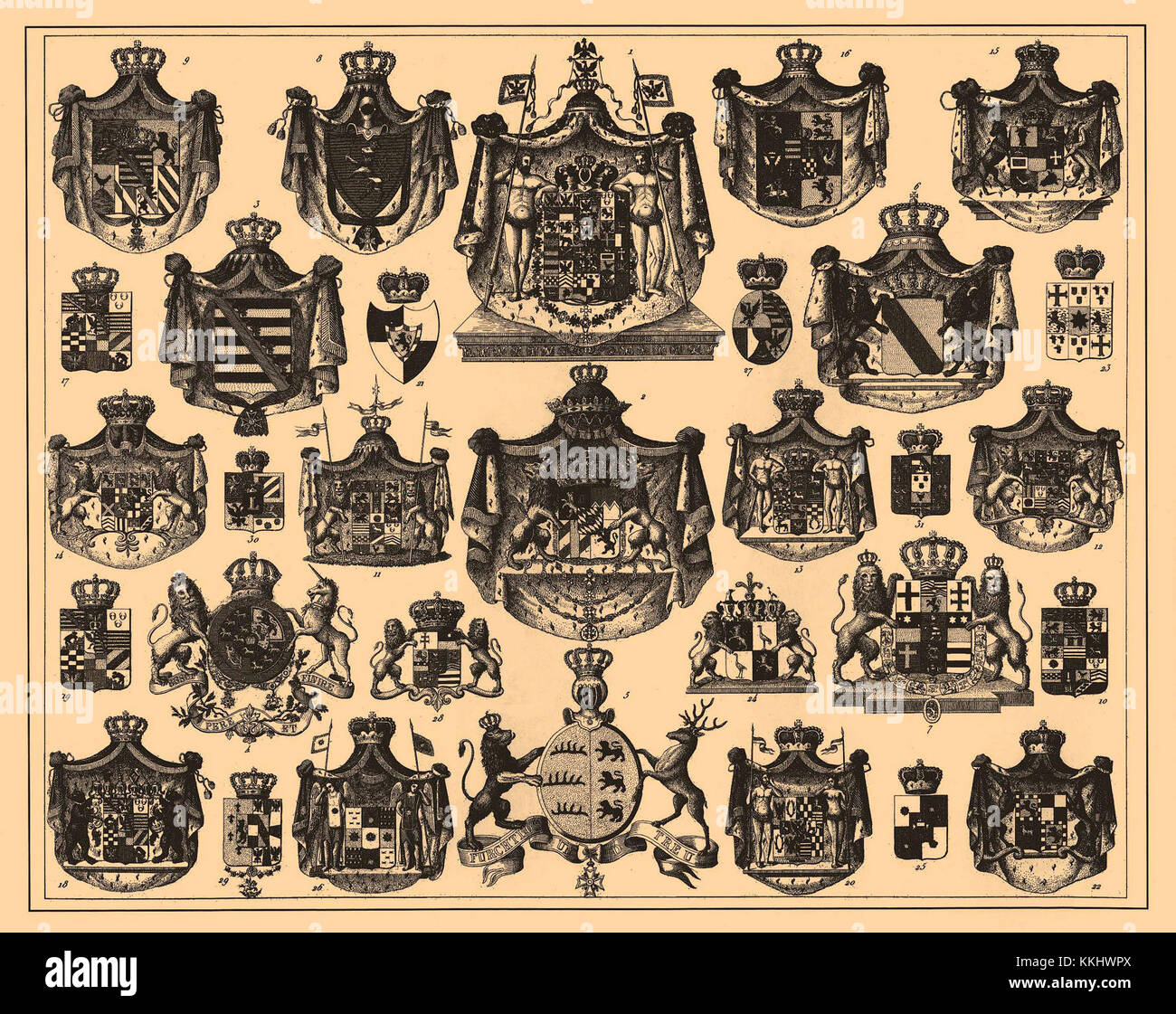 Comprehensive visual reference hi-res stock photography and images - Alamy
