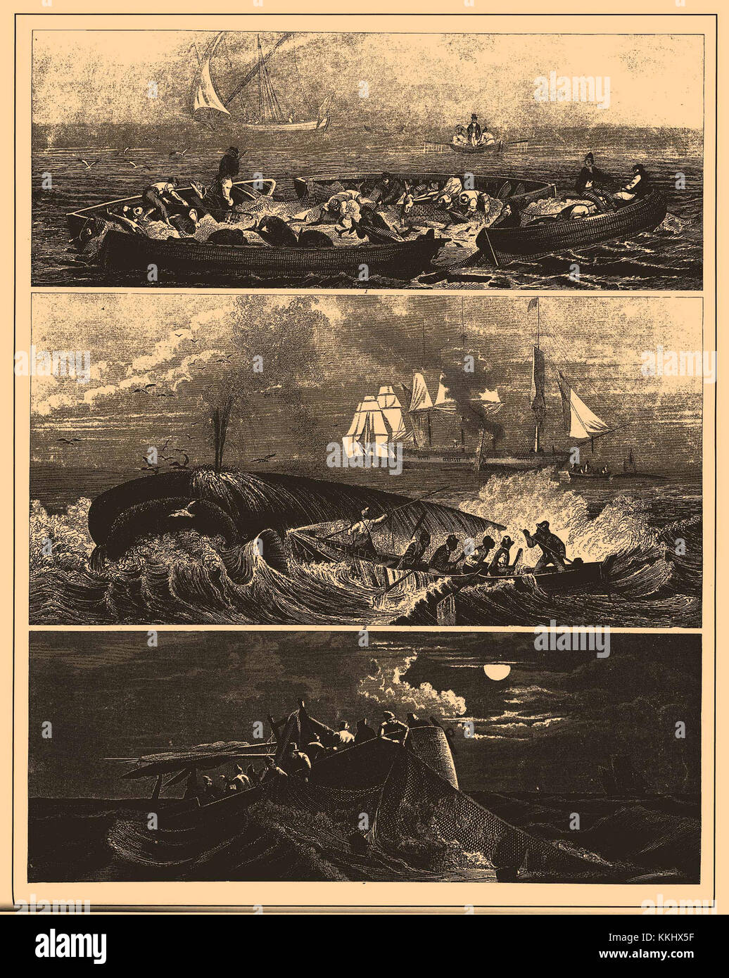 The 'Iconographic Encyclopedia of Science, Literature and Art' is a ...