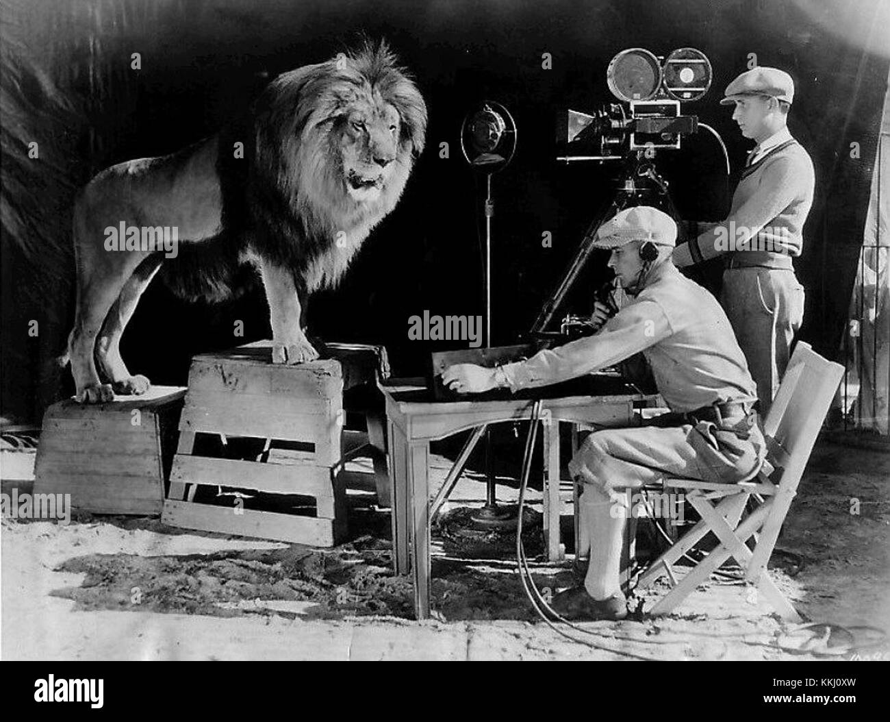 Leo the MGM lion 1928 Stock Photo
