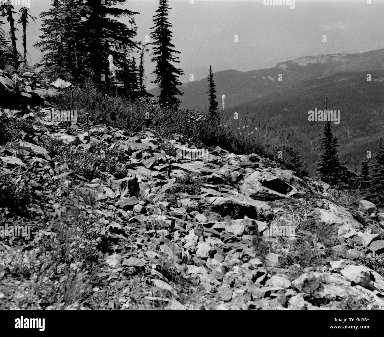 Harvey Mountain Quarry 4 Boundary County Idaho Stock Photo Alamy