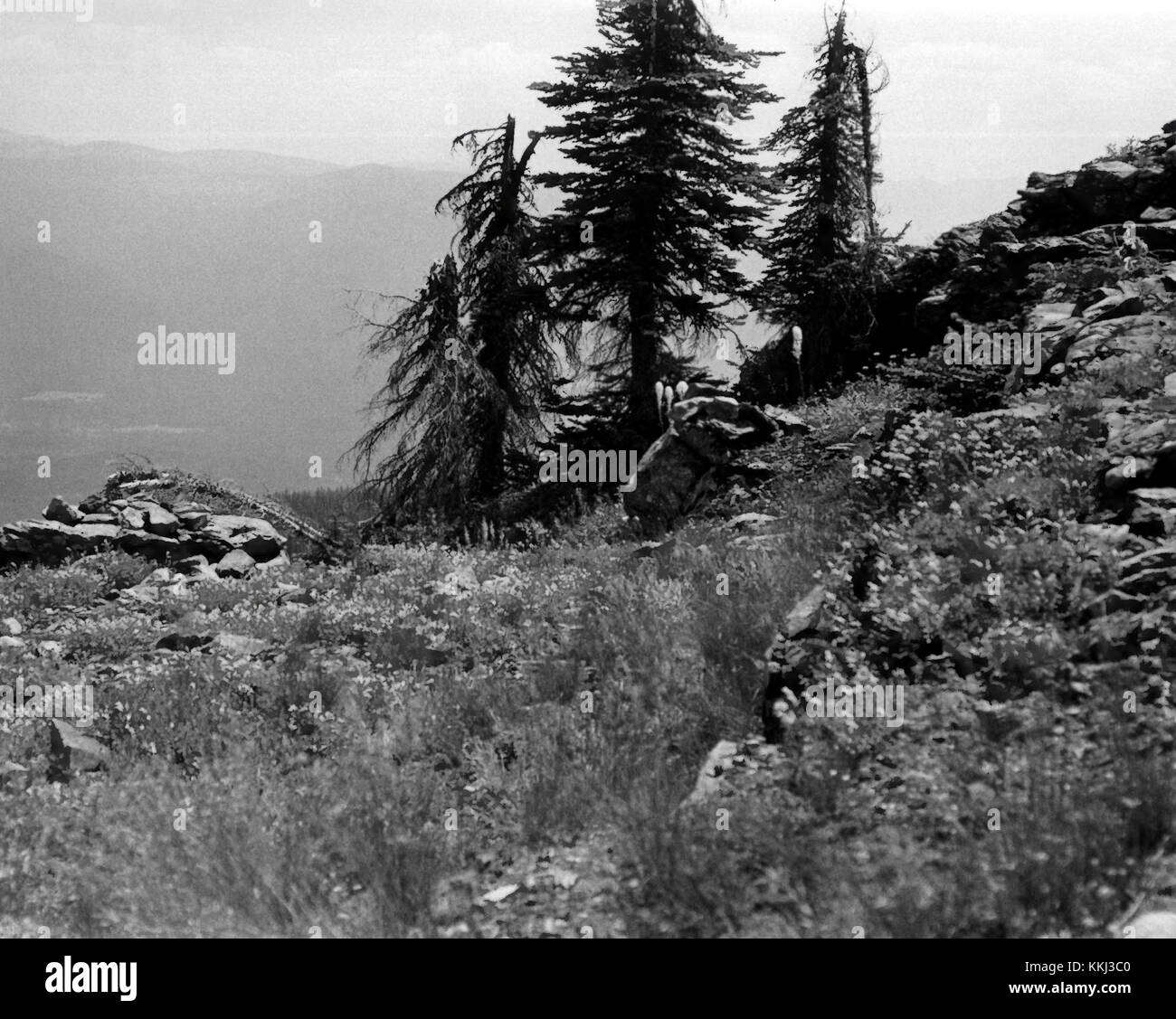 Harvey Mountain Quarry 5 Boundary County Idaho Stock Photo Alamy