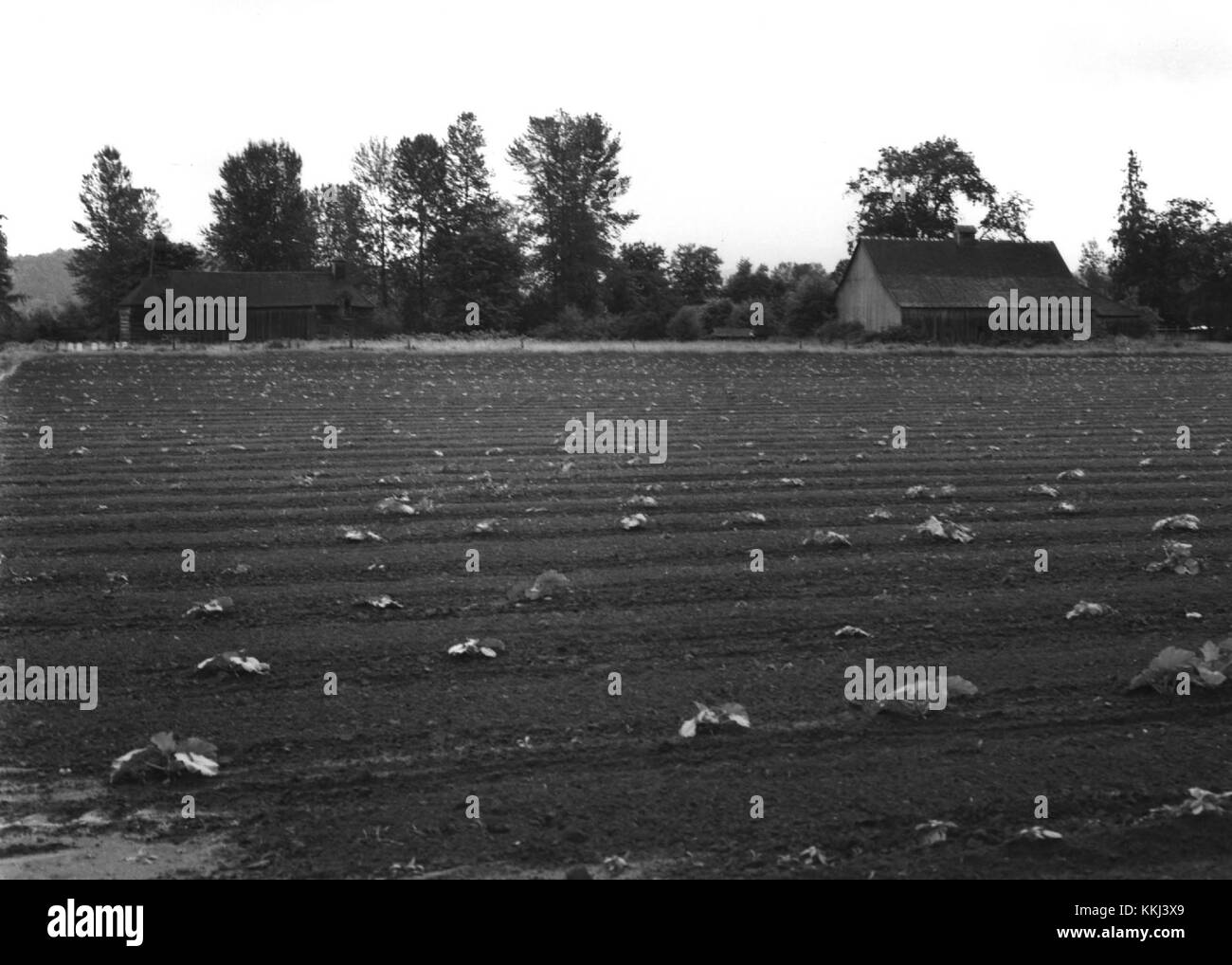WoolreyKoehler Hop Kiln 4 Orting Washington Stock Photo Alamy