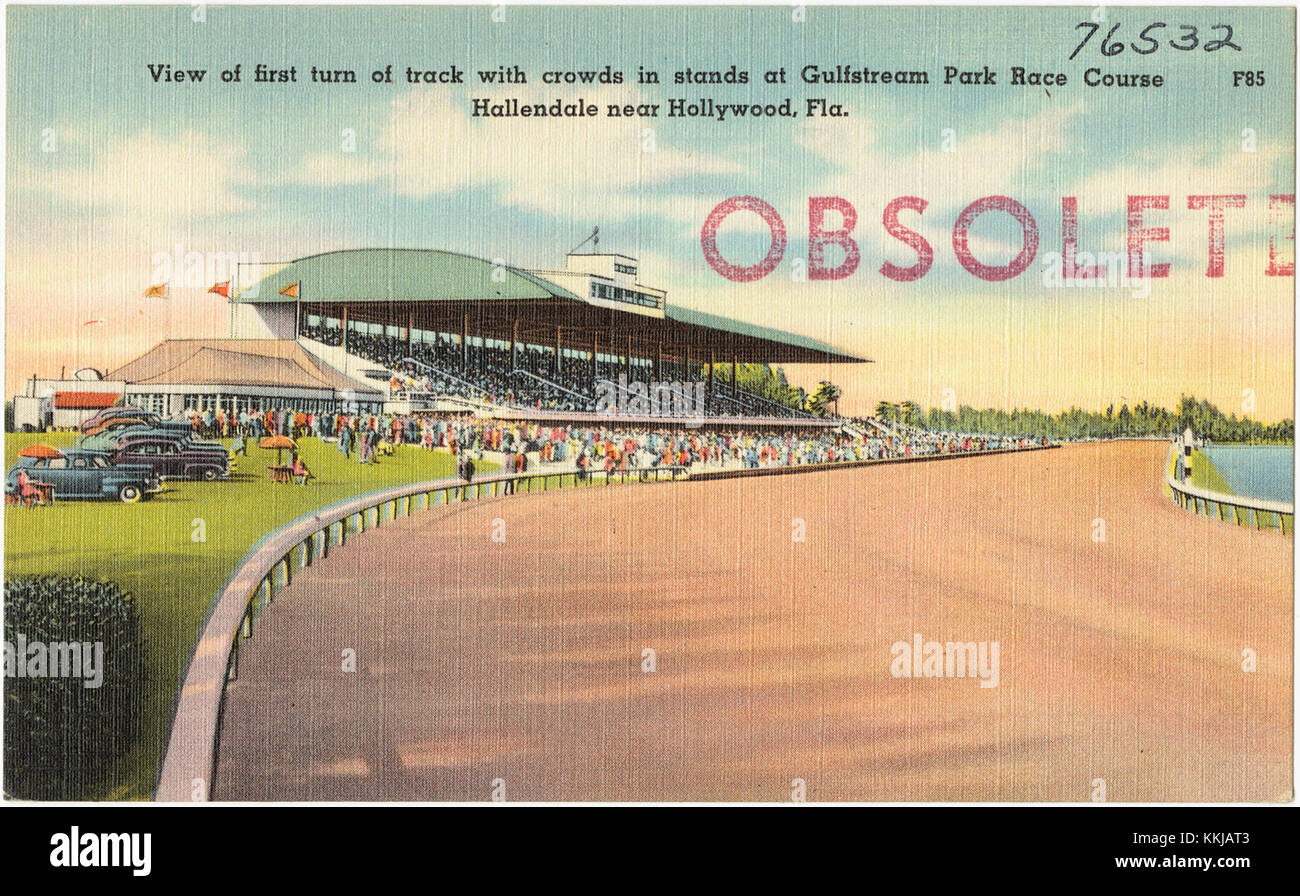 This image captures the first turn of the track at Gulfstream Park Race Course in Hallandale, Florida, with large crowds in the stands. The photo reflects the excitement and popularity of horse racing in the region. Stock Photo