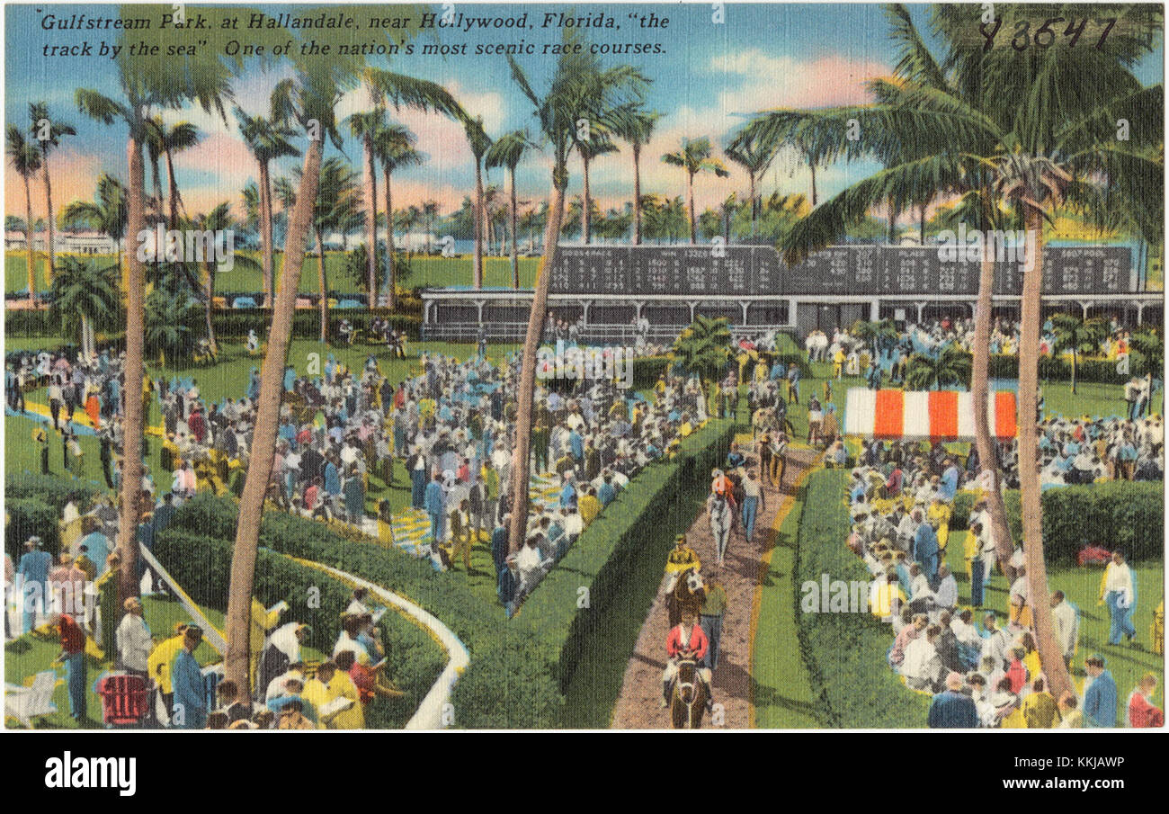 Gulfstream Park, located in Hallandale near Hollywood, Florida, is renowned for its scenic beauty and coastal views. The racetrack is one of the most picturesque venues for horse racing in the United States, offering a unique experience with views of the sea. Stock Photo