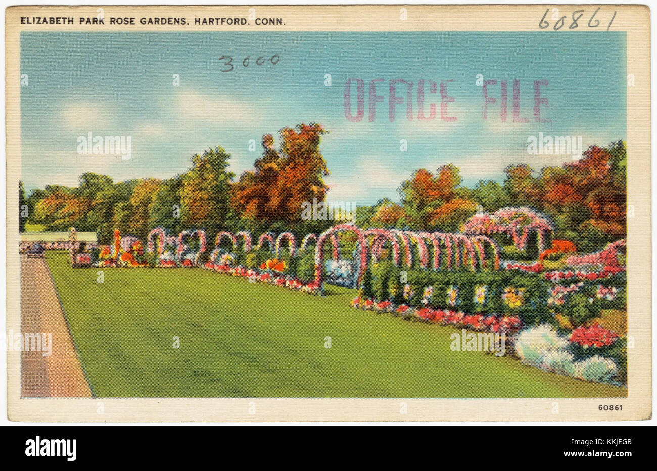 Elizabeth Park Rose Gardens, Hartford, Conn (60861 Stock Photo Alamy