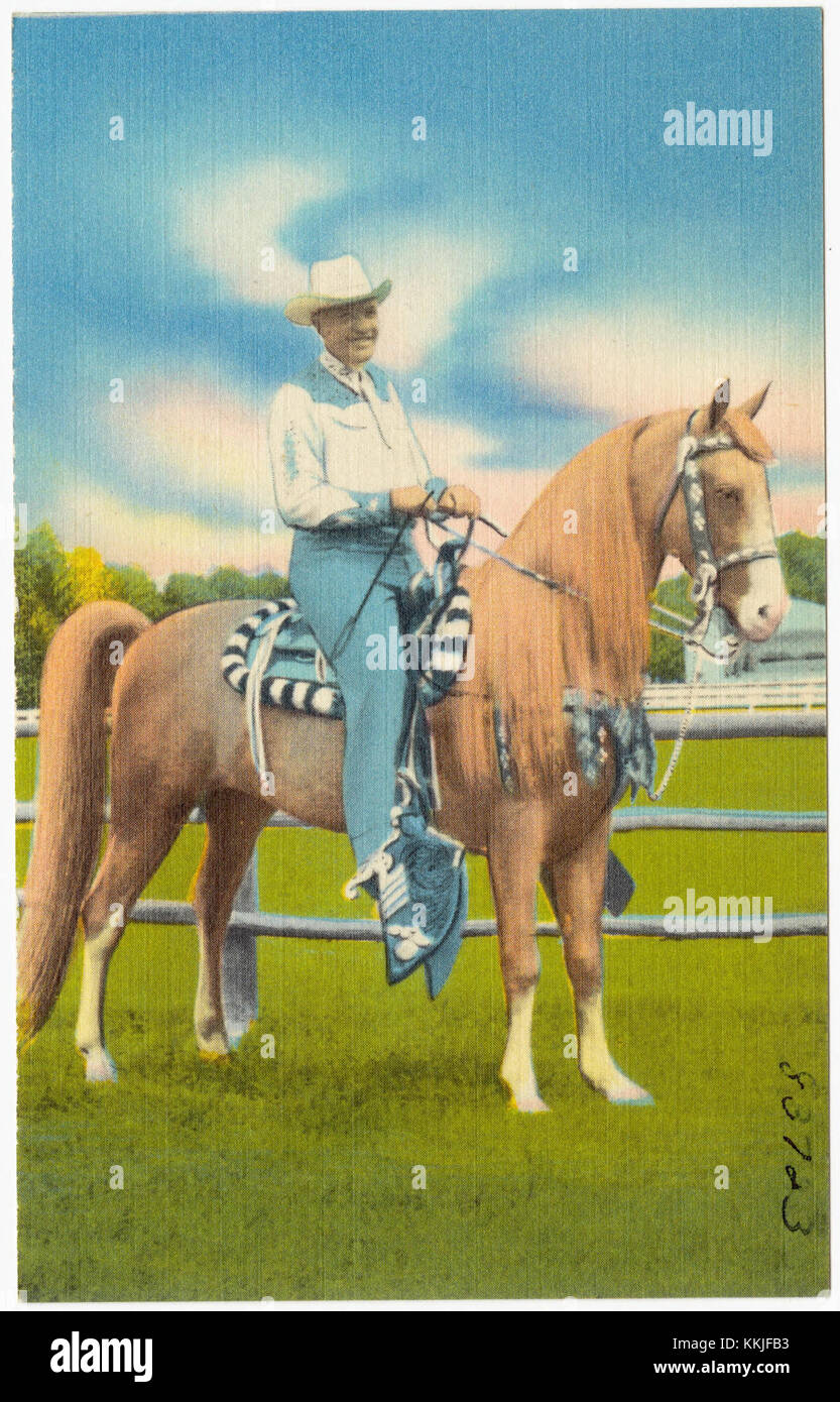 Lynn allen hi-res stock photography and images - Alamy