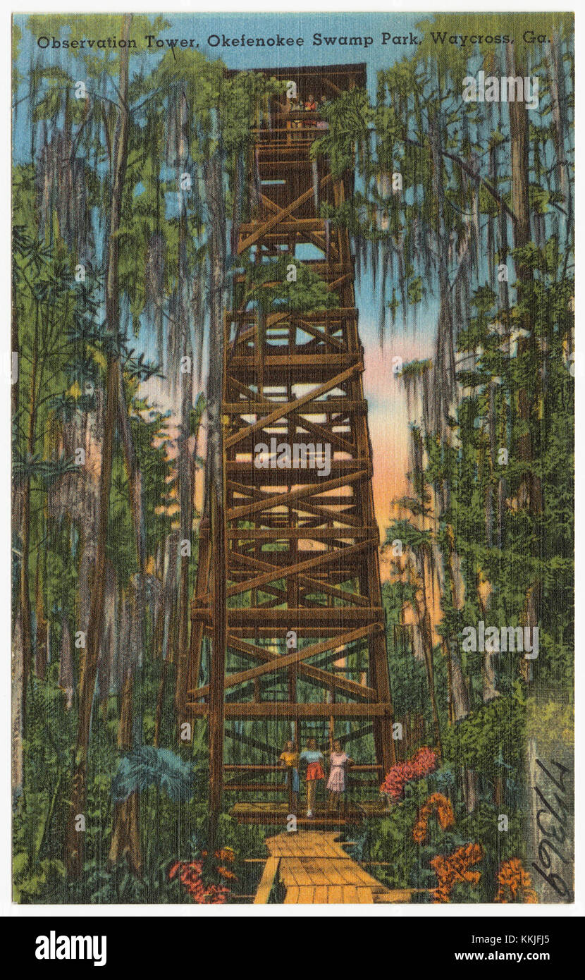 Observation Tower Okefenokee Swamp Park Waycross Ga