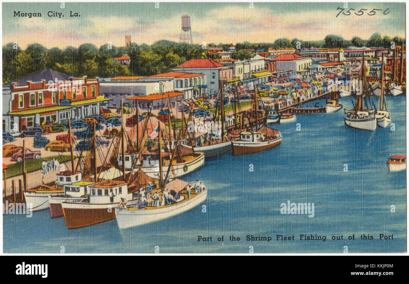 Part of the shrimp fleet fishing out of this port, City, La