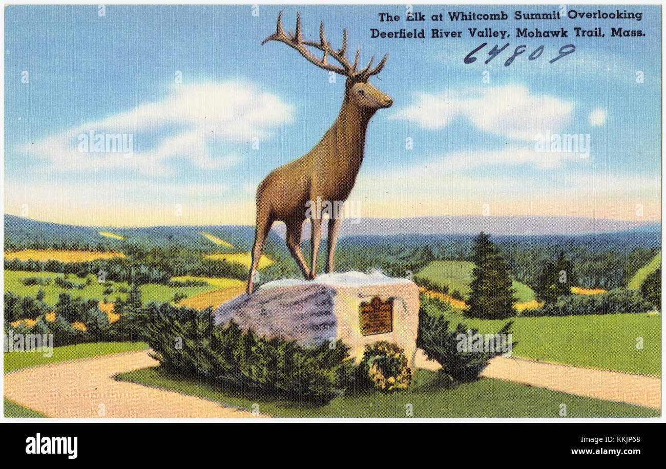 The Elk at Whitcomb Summit overlooking Deerfield River Valley, Mohawk Trail, Mass (64809) Stock Photo