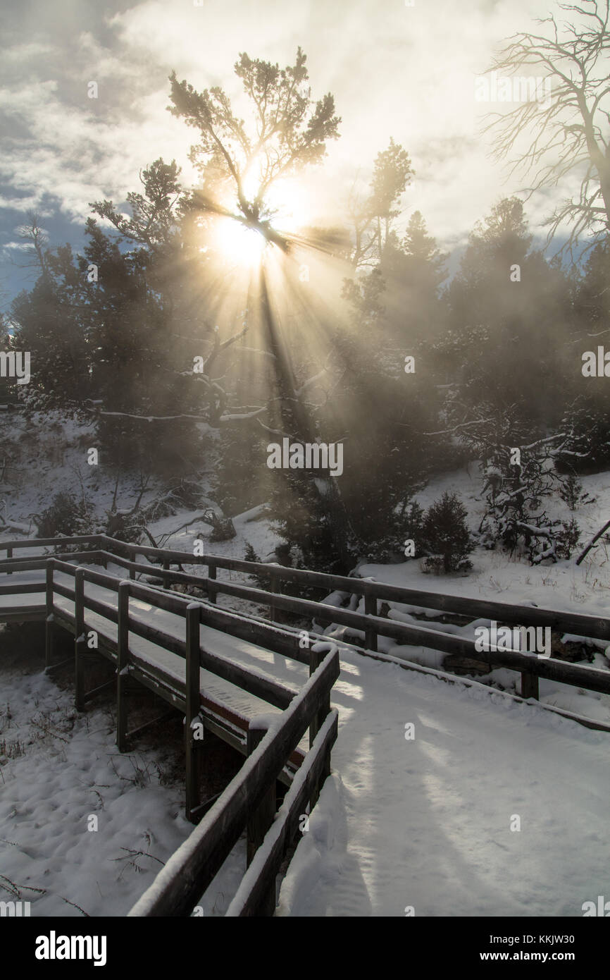 The sun rises over the snow-covered boardwalk to Canary Spring at the Yellowstone National Park in winter December 2, 2016 in Wyoming. (photo by Jacob W. Frank via Planetpix) Stock Photo