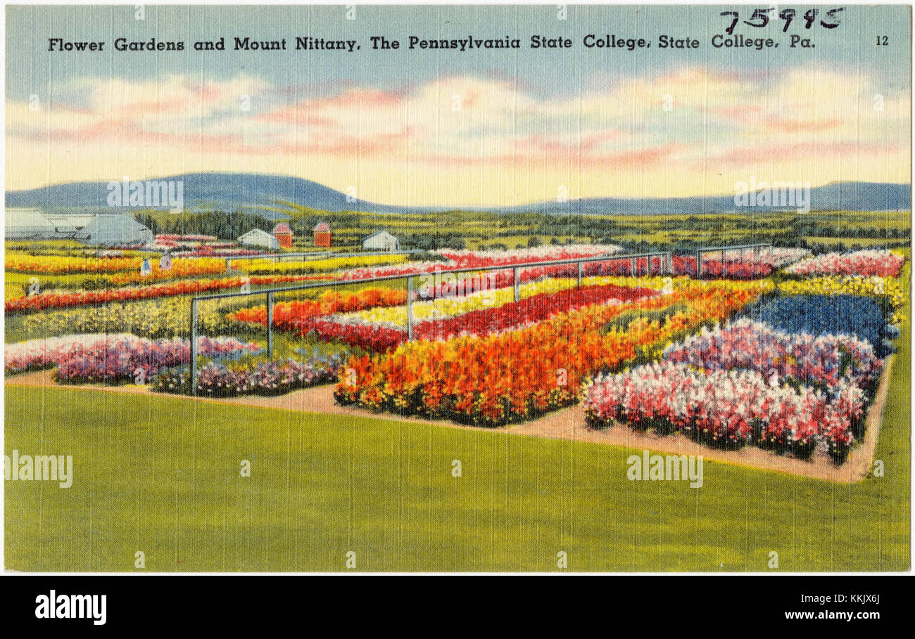 Flower gardens and Mount Nittany, The Pennsylvania State College, State