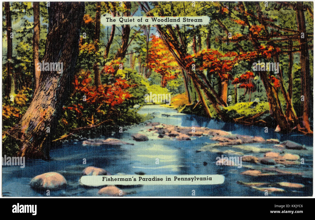 The quiet of a woodland stream, fisherman's paradise in Pennsylvania