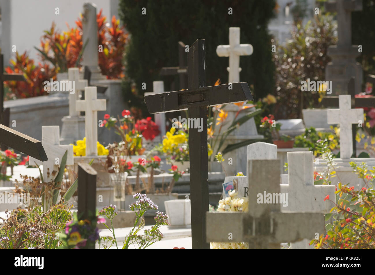 sunlit cemetry grave graves, Puerto de la Cruz, Tenerife, Canary Islands, Spain Stock Photo