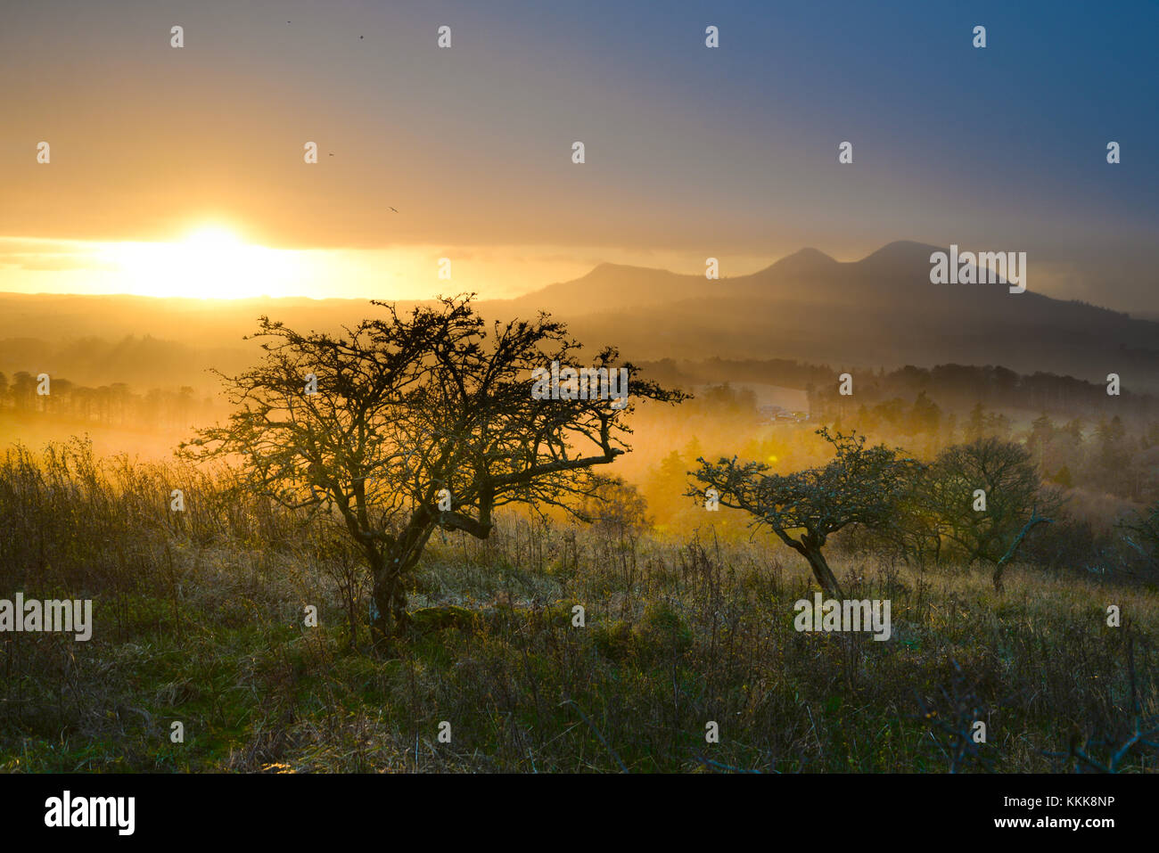View hi-res stock photography and images - Alamy