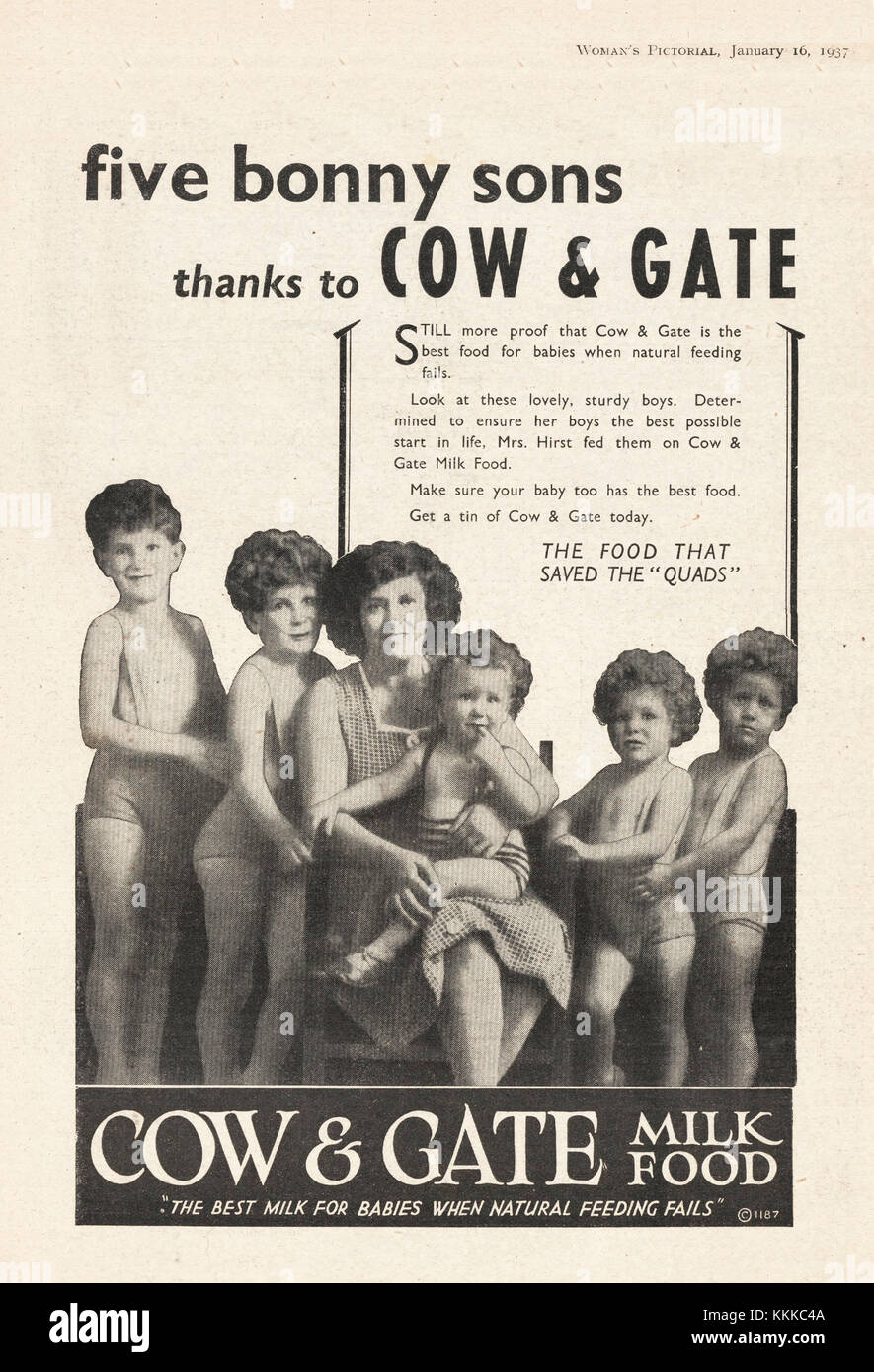 1937 UK Magazine Cow & Gate Milk Advert Stock Photo - Alamy