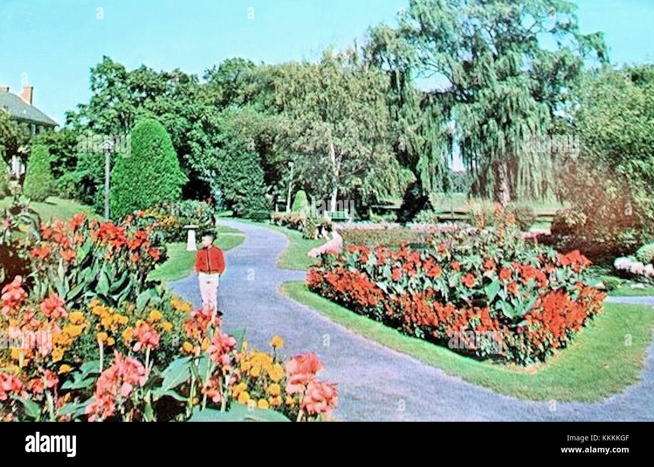 1959 - Rose Garden Allentown PA Stock Photo