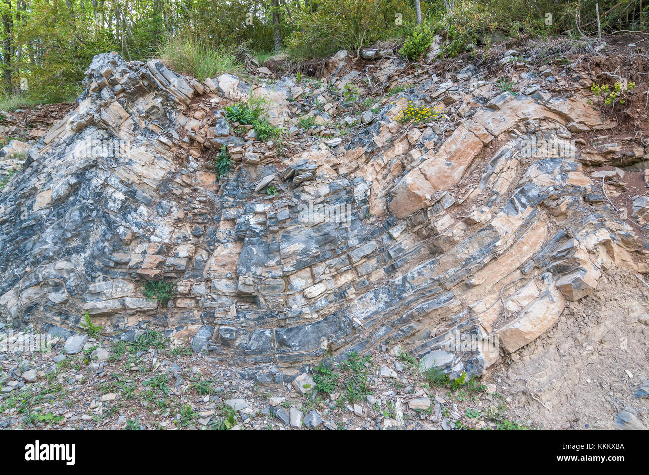 rock formation, Gombren, Ripolles, Catalonia Stock Photo