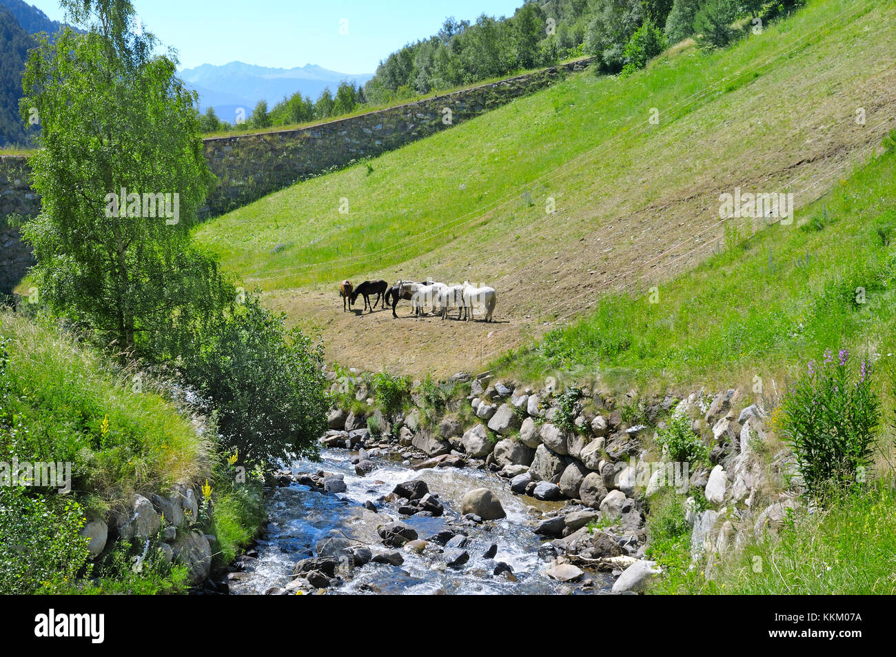 Mountain valley river hi-res stock photography and images - Alamy