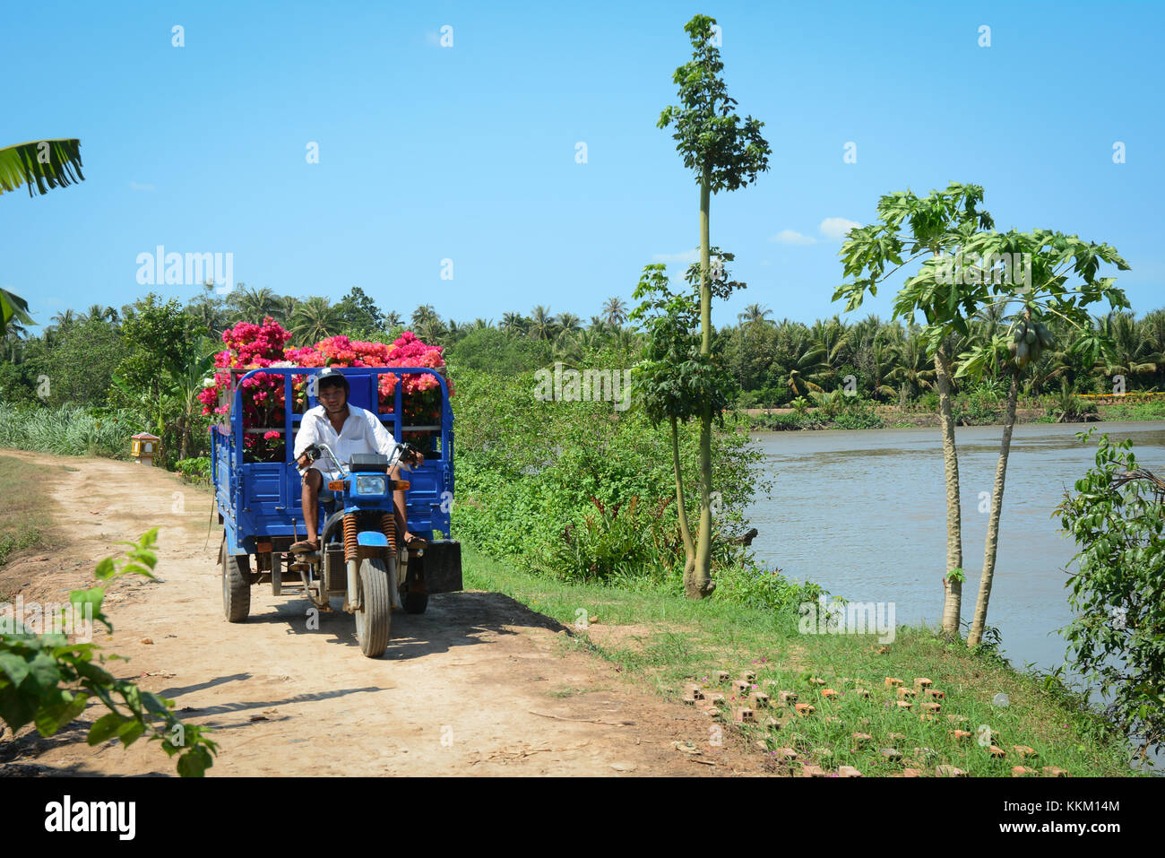 Ben Tre, Vietnam - Jan 31, 2015. People carrying flowers to the market in Ben Tre, Vietnam. Ben Tre is a province in the Mekong Delta area of southern Stock Photo