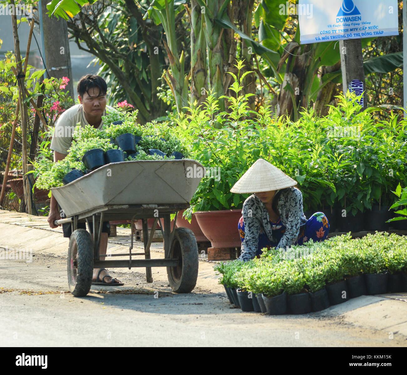 Ben Tre, Vietnam - Feb 1, 2016. People working at the flower plantation in Ben Tre, Vietnam. Ben Tre is a province in the Mekong Delta area of souther Stock Photo