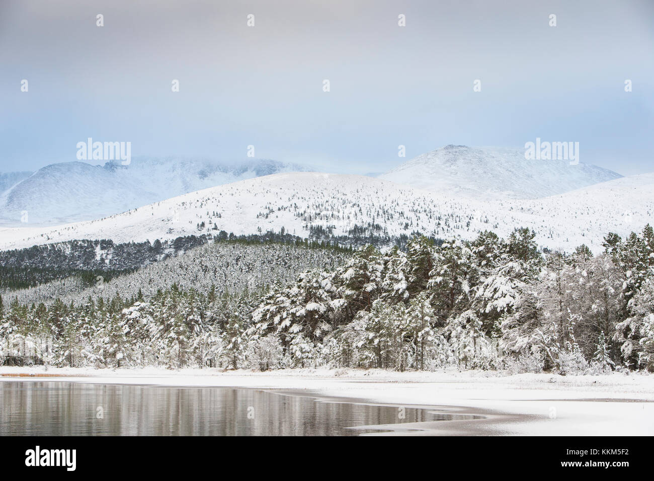 Winter on Loch Morlich in the Cairngorms National Park of Scotland. Stock Photo