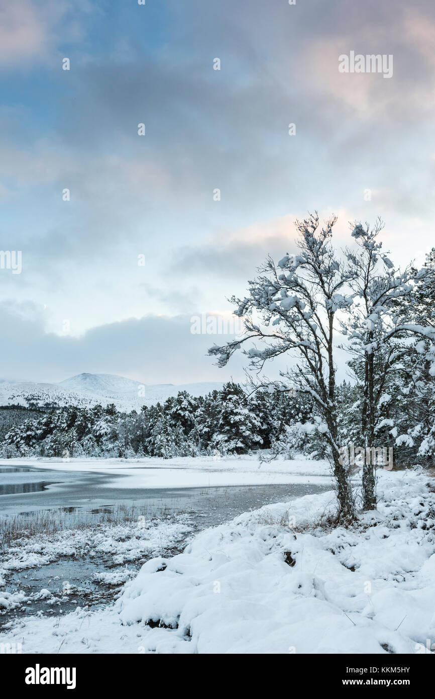 Winter on Loch Morlich in the Cairngorms National Park of Scotland. Stock Photo