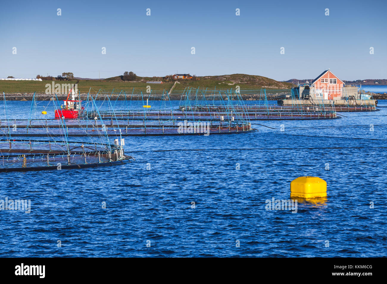 Norwegian fish farm for salmon production in natural environment. Sea fjord, Trondheim region Stock Photo