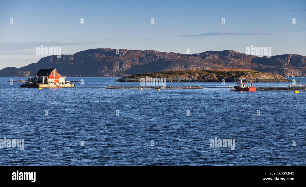 Norwegian fish farm for salmon and trout production in natural environment. Sea fjord, Trondheim region Stock Photo