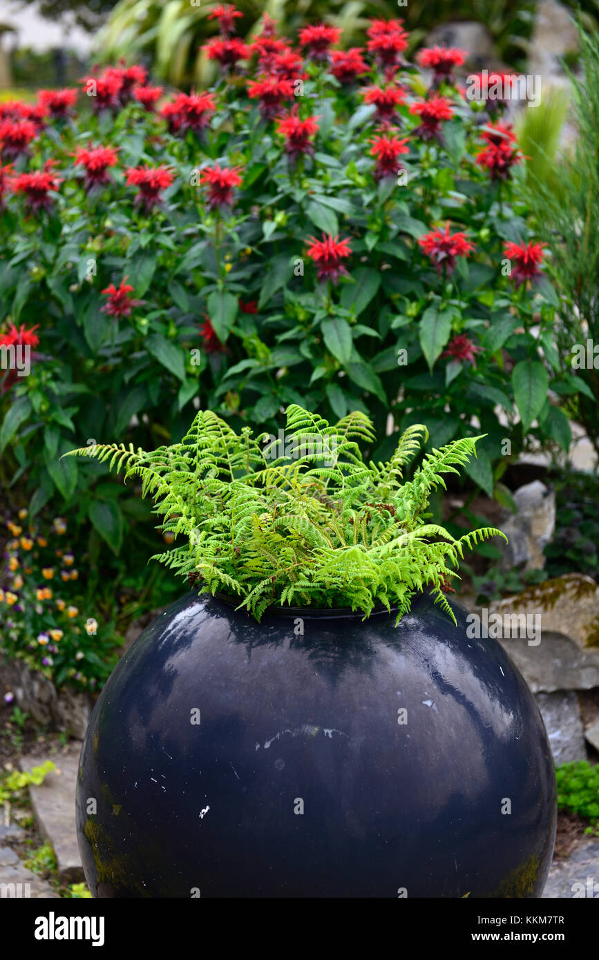 feature pot, urn, ball,planter,planting,monarda, perennial, display