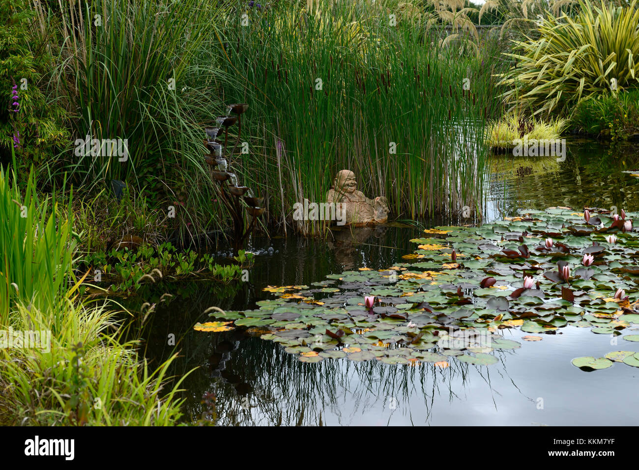 laughing buddha,statue,water feature,pond,pool,garden,gardens,coolwater