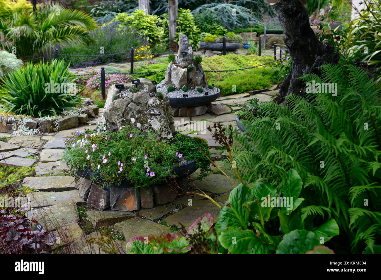 Alpine Container Display alpine,alpines,trough,troughs,display,container,gardening,garden ...