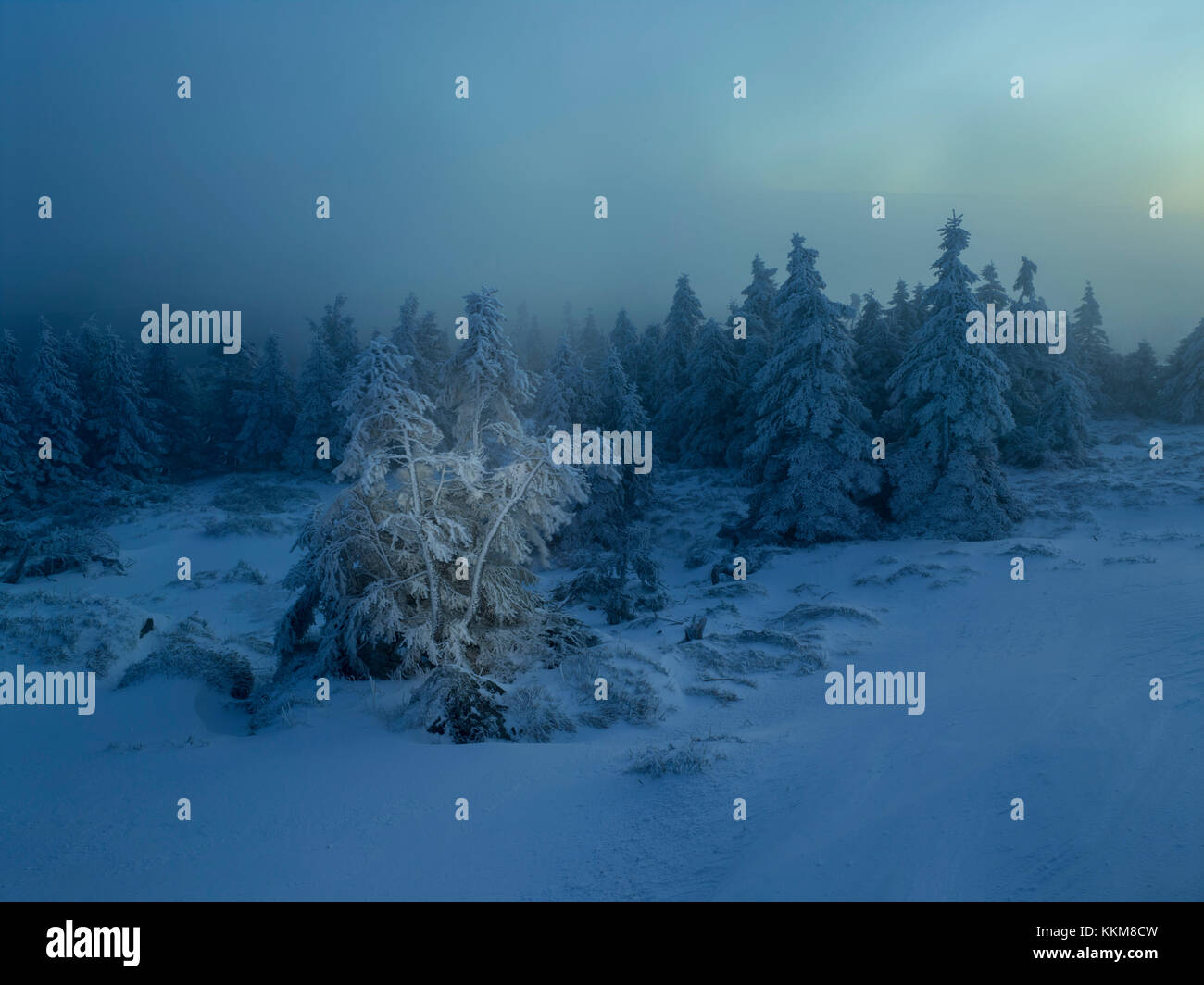 Winter morning at the Brocken, Harz, Saxony-Anhalt, Germany, Stock Photo