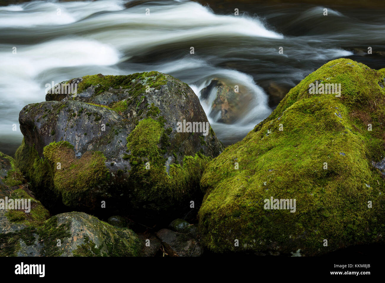 Stream course of the Schwarzer Regen, Bavarian Forest, Bavaria, Germany, Stock Photo