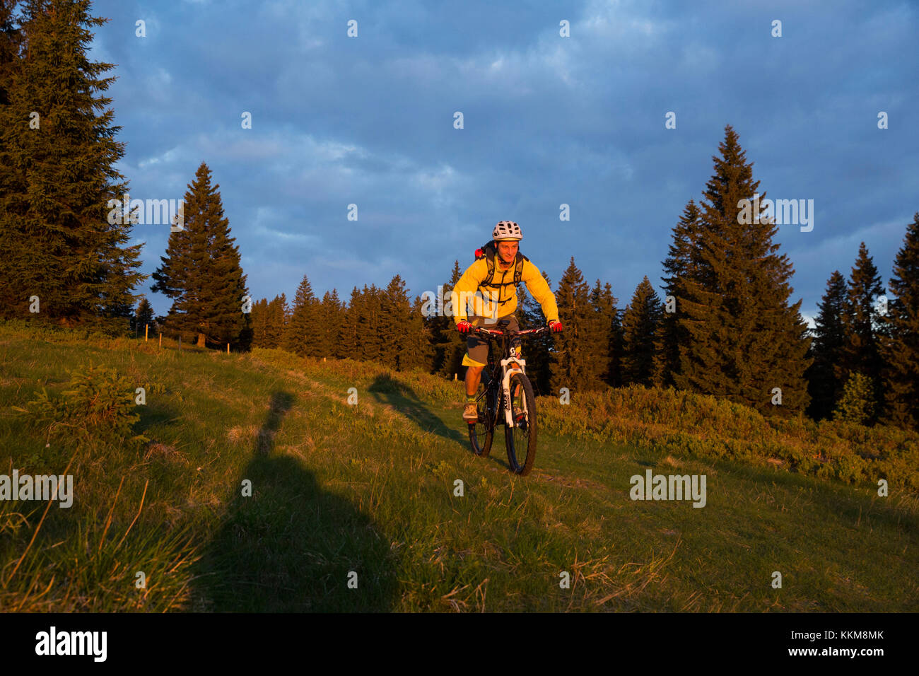 Mountain biker at the Herzogenhorn, Black Forest, Baden-Wuerttemberg, Germany Stock Photo