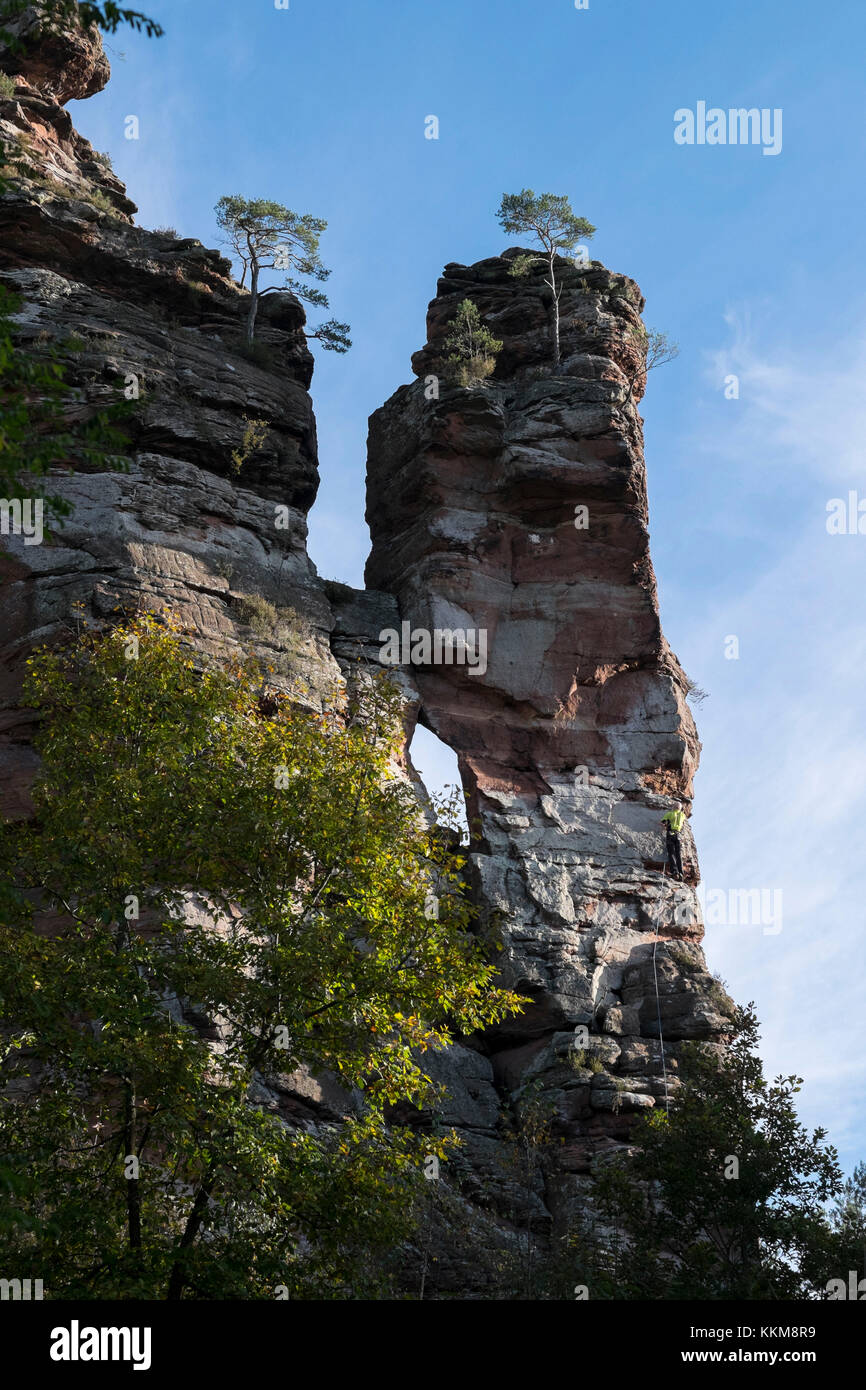 Climbing scene at the PK edge on the Hochsteinnadel, Dahner Felsenland, Palatine Forest, Rhineland-Palatinate, Germany, Stock Photo