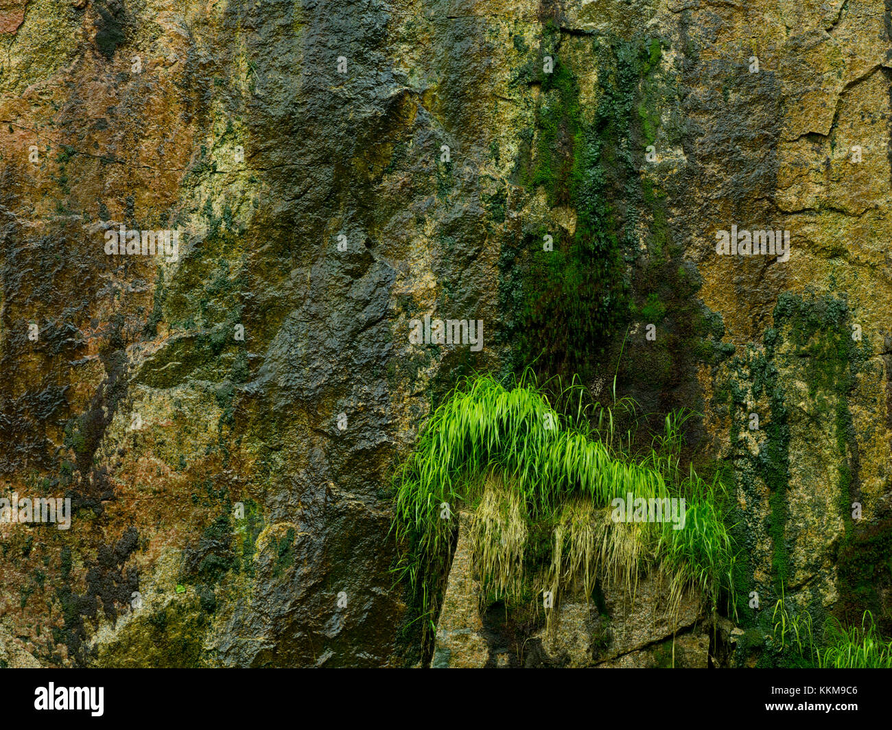 Germany Devil Rocks Rock structure at the devil's stones, Steinbachtal, Ore Mountains ...