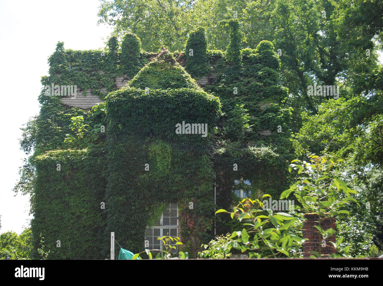 House overgrown by ivy and other plants near the new castle in Giessen in summer Stock Photo