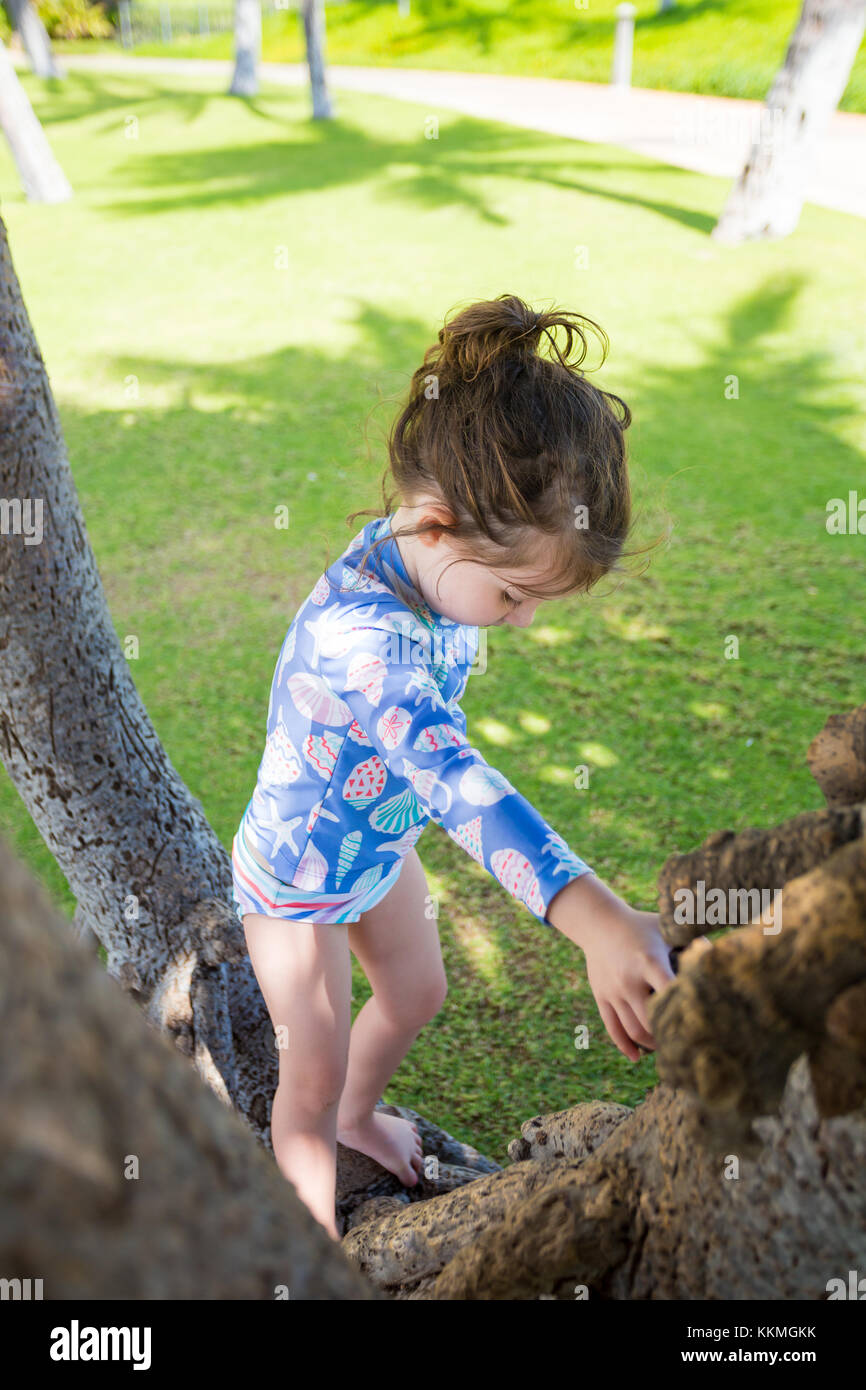 Tree Climbing Hawaii Stock Photo Alamy