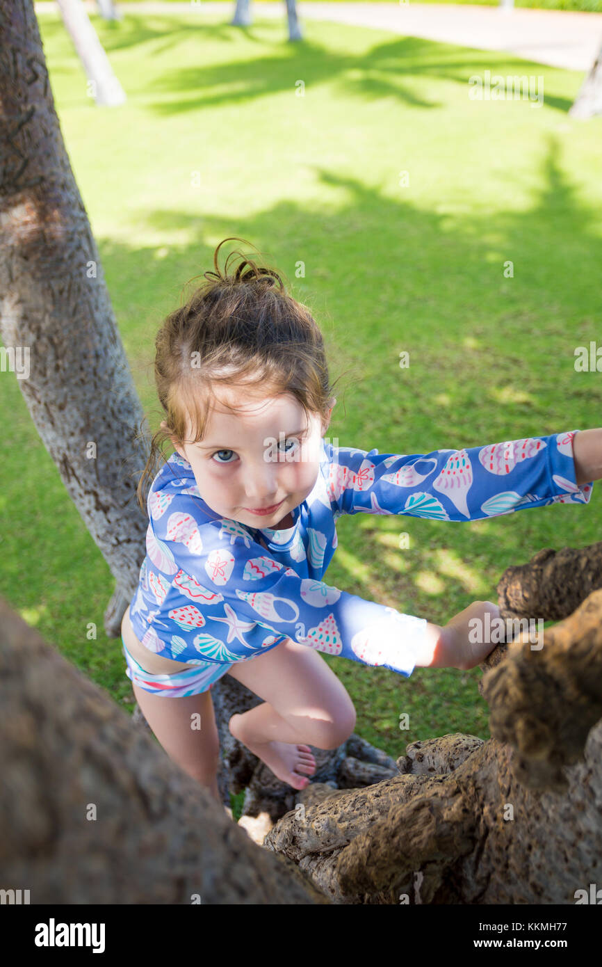 Hawaii adventure hires stock photography and images Alamy