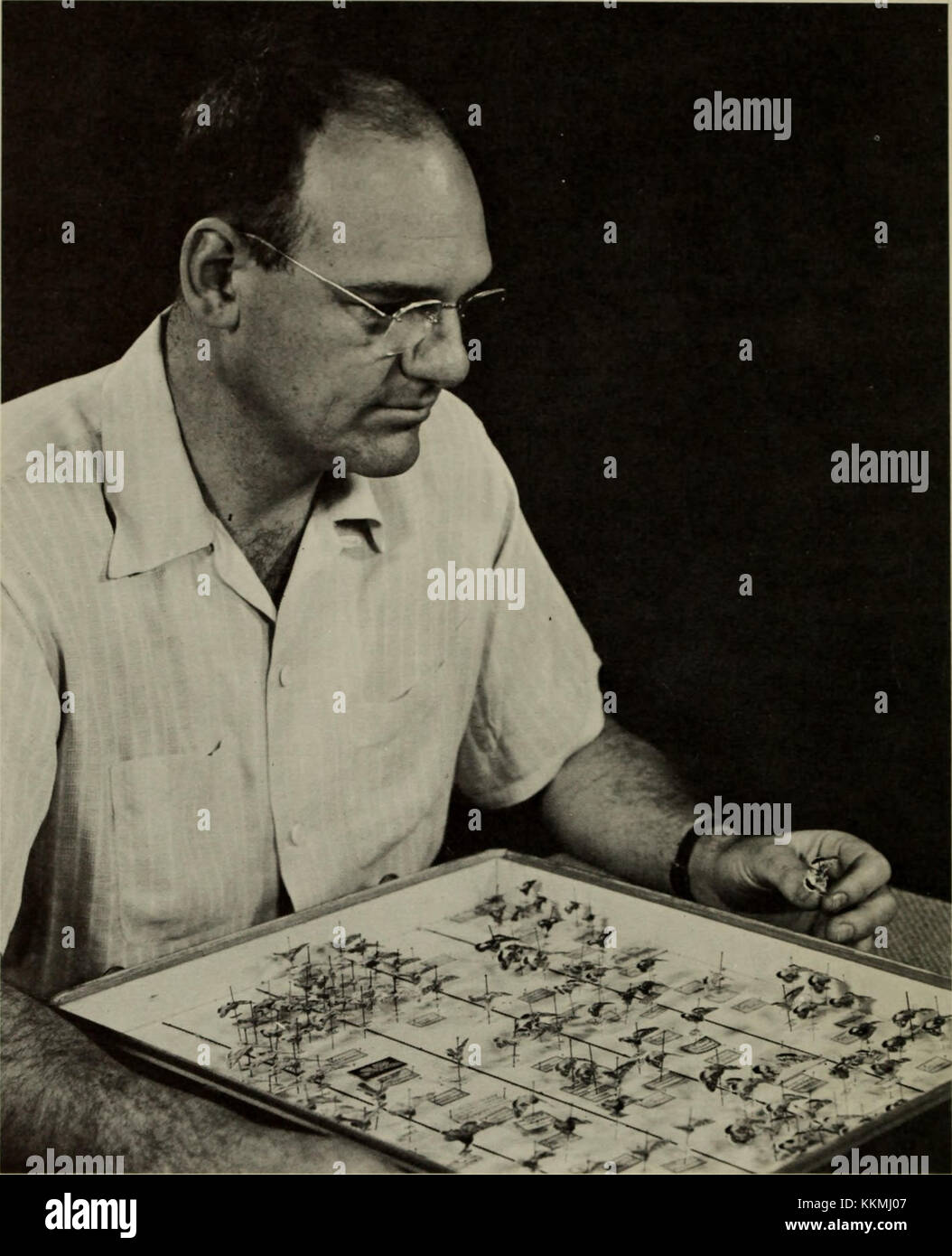 Rindge rindge hi-res stock photography and images - Alamy