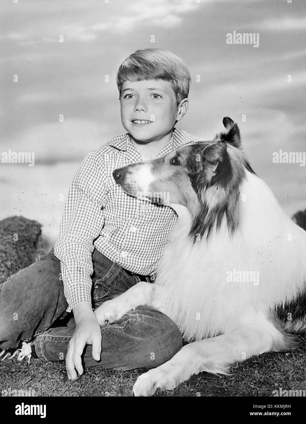 Jon Provost Lassie 1962 Stock Photo Alamy