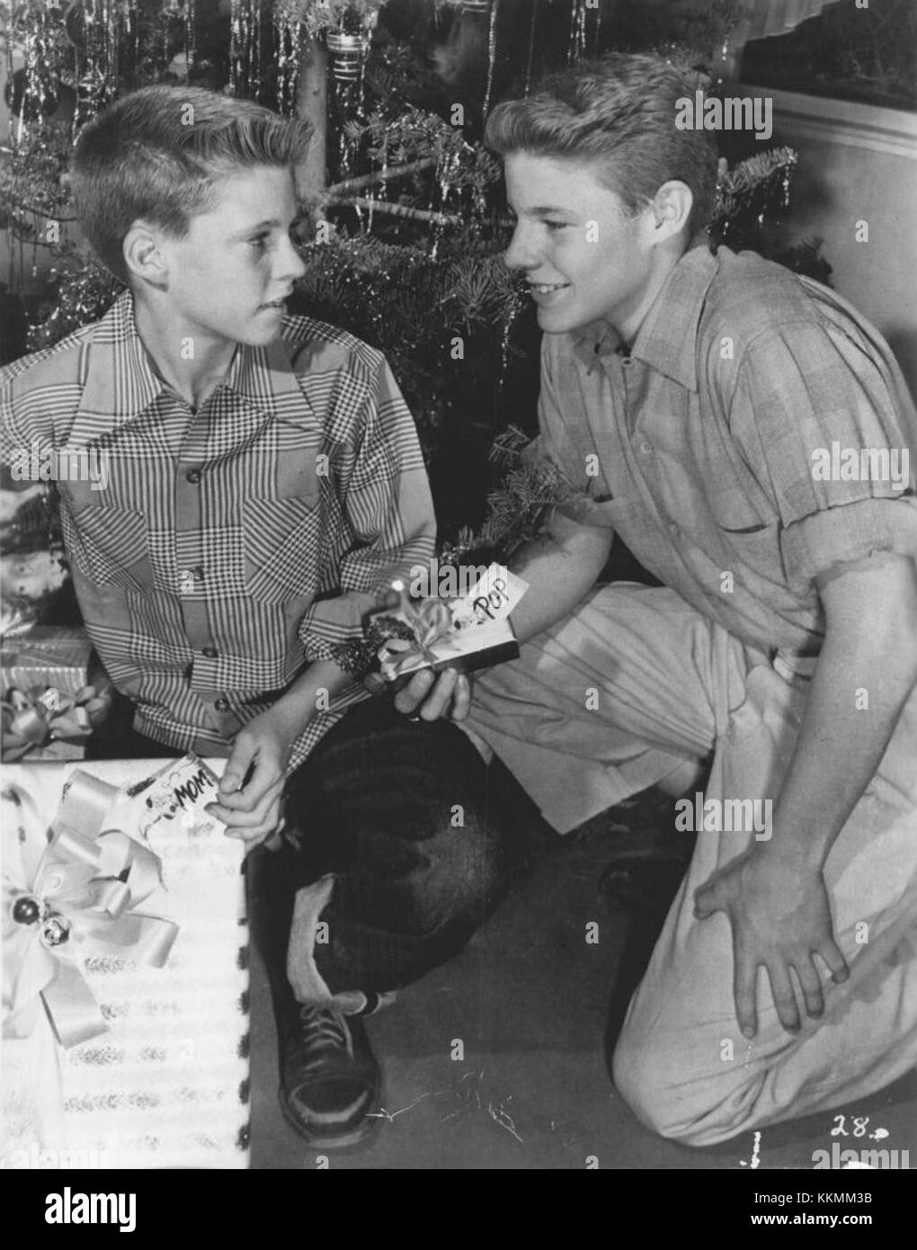 David Nelson, right, is 16, and Rick is 12 in this scene from 'The Late Christmas Gift,' a 13-year-old Ozzie and Harriet rehun to be shown Wednesday evening at 7:30 o'clock over Channel 4. The story concerns a late Christmas gift sent by Grandma Nelson which has the entire family puzzled. Adv of Ozzie and Harriet Ricky Nelson David Nelson 1952 Stock Photo
